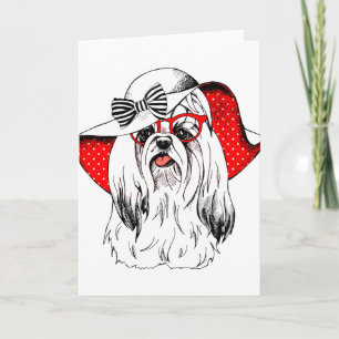 Yorkie Mode Shoot Kaart