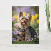 Yorkie Moeder Moederdag Liefde Kaart (Voorkant)