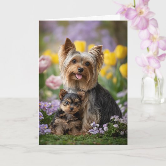 Yorkie Moeder Moederdag Liefde Kaart (Orchidee)