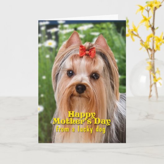 Yorkie Moederdag Kaart (Gele Bloem)