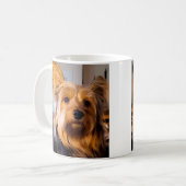 Yorkie Mok (Voorkant links)