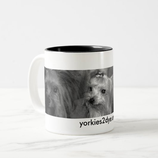 Yorkie Mok (Voorkant links)