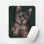 Yorkie Mousepad Muismat (Met muis)