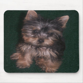 Yorkie Mousepad Muismat