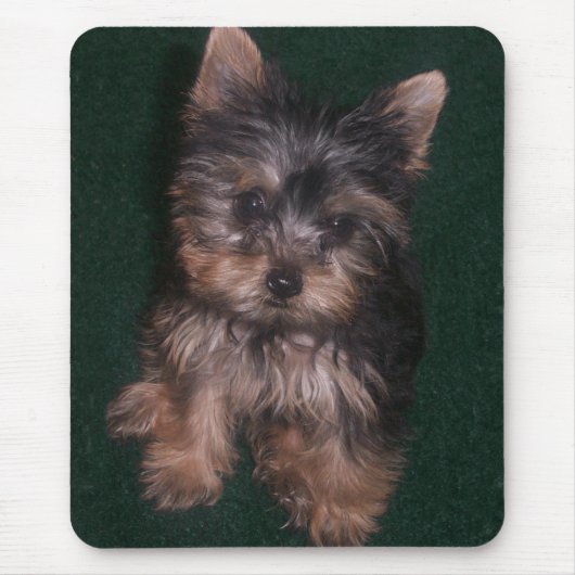 Yorkie Mousepad Muismat (Voorkant)
