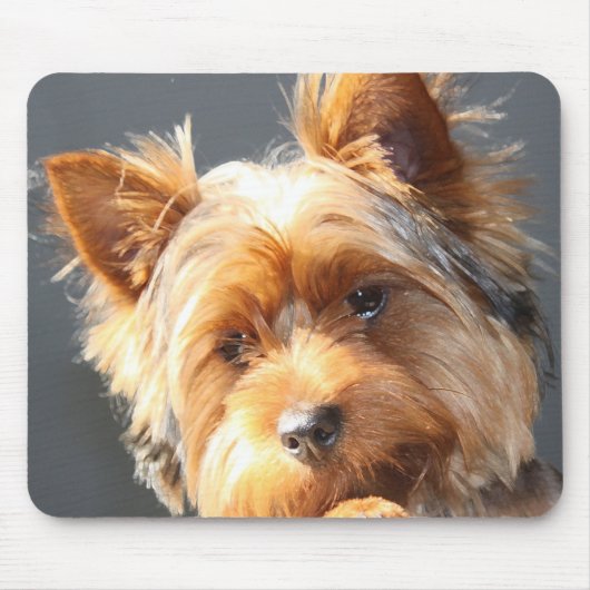 yorkie muismat (Voorkant)