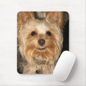 yorkie muismat (Met muis)