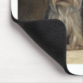 YORKIE MUISMAT (Hoek)
