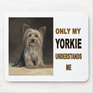 YORKIE MUISMAT