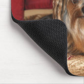 Yorkie Muismat (Hoek)