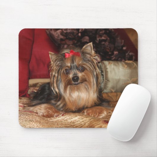 Yorkie Muismat (Met muis)