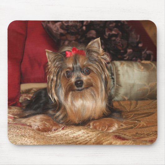 Yorkie Muismat (Voorkant)