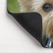 Yorkie Muismat (Hoek)