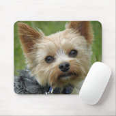 Yorkie Muismat (Met muis)