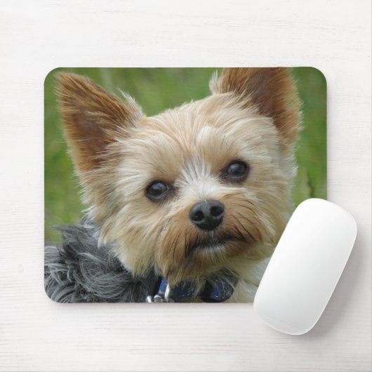 Yorkie Muismat (Met muis)