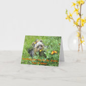 Yorkie Note-kaarten - Alles wat je kunt doen in mi Kaart (Gele Bloem)