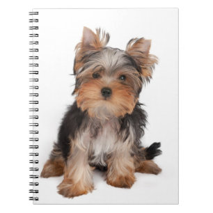 Yorkie Notitieboek