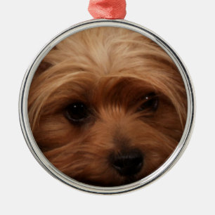 Yorkie of Your Dog Afbeelding Kerstmis Metalen Ornament