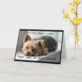 Yorkie op de Sympathie van het Huisdier van de Kaart (Gele Bloem)