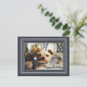 Yorkie op een bank briefkaart (Staand voorkant)