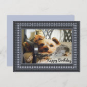 Yorkie op een bank briefkaart (Voorkant / Achterkant)