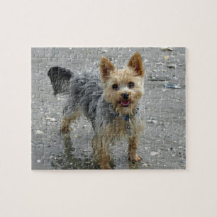 Yorkie op het strand legpuzzel