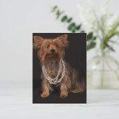 Yorkie Pearls Briefkaart (Staand voorkant)