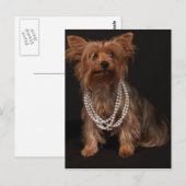 Yorkie Pearls Briefkaart (Voorkant / Achterkant)