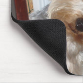 Yorkie Peeking rond de hoek Muismat (Hoek)