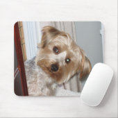 Yorkie Peeking rond de hoek Muismat (Met muis)