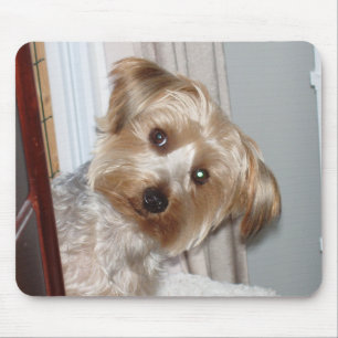 Yorkie Peeking rond de hoek Muismat