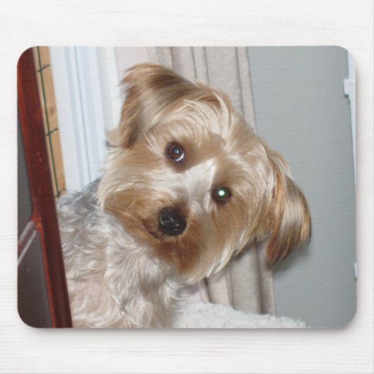 Yorkie Peeking rond de hoek Muismat (Voorkant)