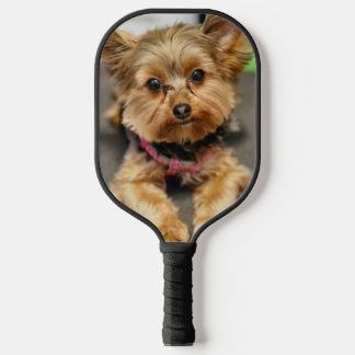 Yorkie Pickleball Paddle