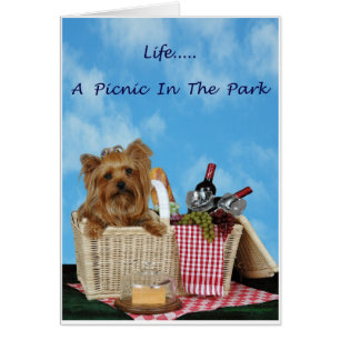 Yorkie Picnic Basket