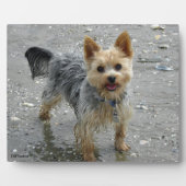 Yorkie Plaque Fotoplaat (Voorkant)