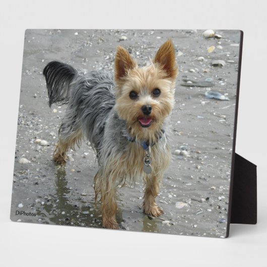 Yorkie Plaque Fotoplaat (Zijkant)
