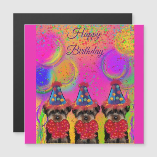 Yorkie Poo (Voorkant / Achterkant)