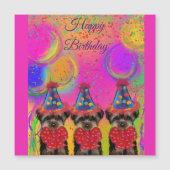 Yorkie Poo (Voorkant)