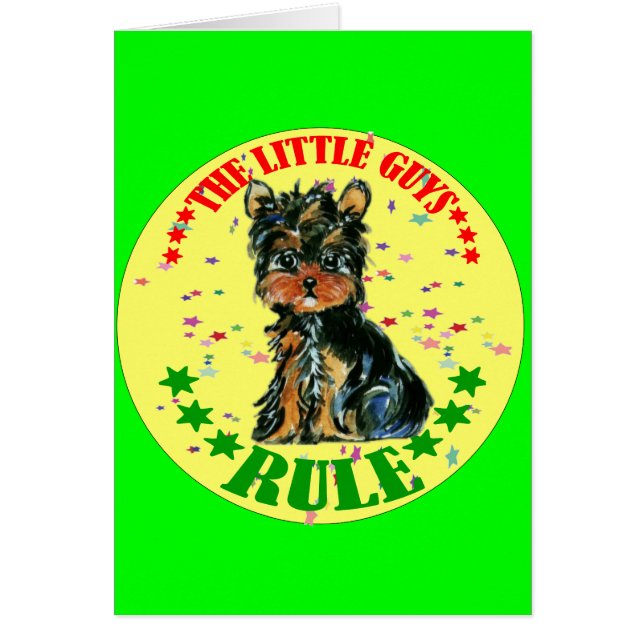 YORKIE POO (Voorkant)