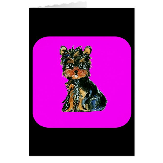 Yorkie Poo (Voorkant)