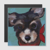Yorkie Poo   (Voorkant / Achterkant)