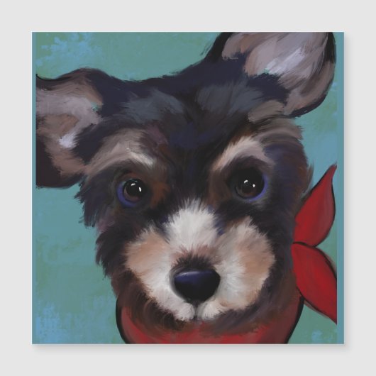 Yorkie Poo   (Voorkant)