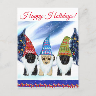 YORKIE POO BRIEFKAART