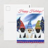 YORKIE POO BRIEFKAART (Voorkant / Achterkant)