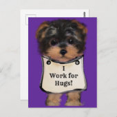 Yorkie Poo Briefkaart (Voorkant / Achterkant)
