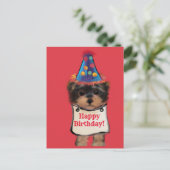 Yorkie Poo    Briefkaart (Staand voorkant)