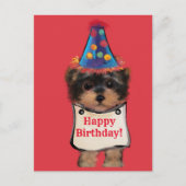 Yorkie Poo    Briefkaart (Voorkant)
