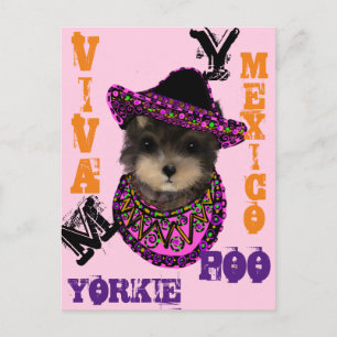 Yorkie Poo Briefkaart