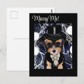 Yorkie Poo Briefkaart (Voorkant / Achterkant)