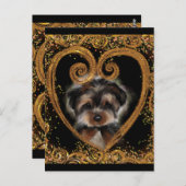 Yorkie Poo Briefkaart (Voorkant / Achterkant)